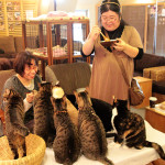 ٹوکیو میں جانوروں کے لیے کیفے، لوگوں کی توجہ کا مرکز