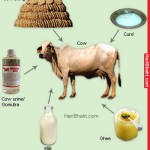 ہندو انتہا پسند تنظیمیں گائے کے گوبر سے لاکھو ڈالر کمانے لگیں