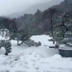 مشرقی ایشیا میں شدید سردی اور برفباری کے باعث 80 سے زائد افراد ہلاک