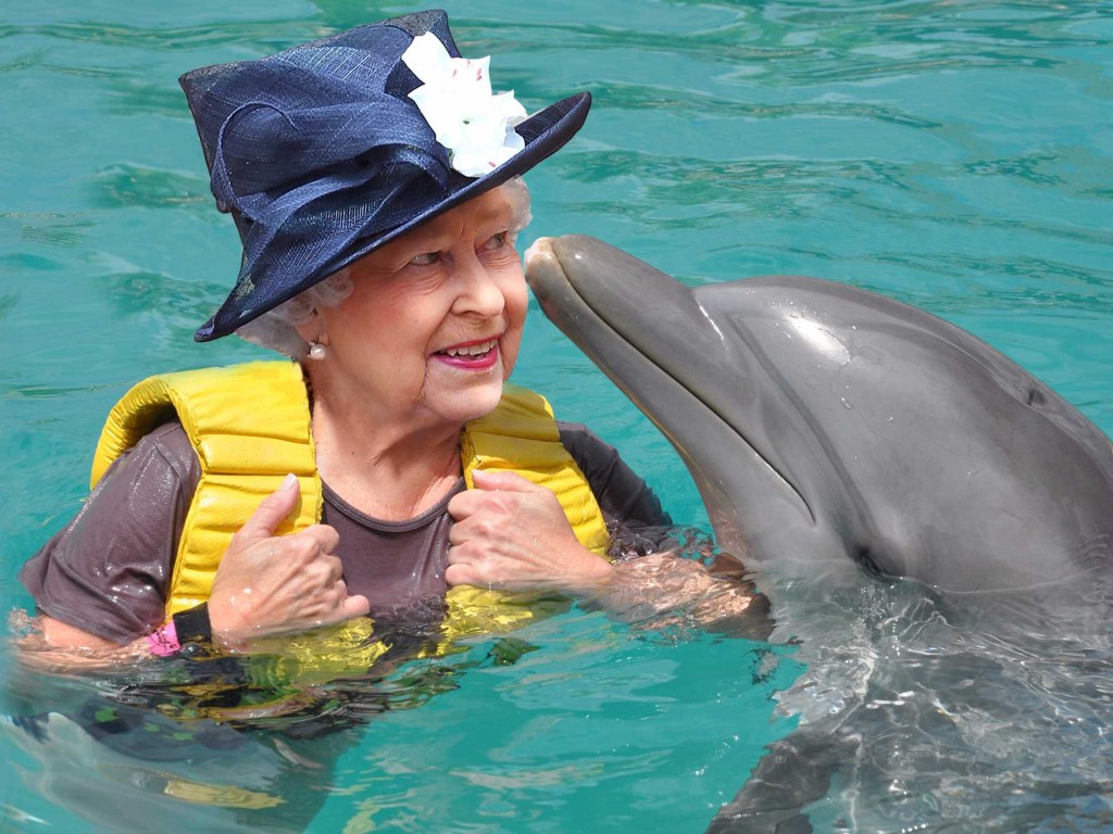 ملکہ الزبتھ دوئم  برطانیہ بھر میں پائی جانے والی ڈولفنز کی مالکن ہیں