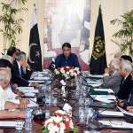 پاکستانی وزیر خزانہ اسد عمر