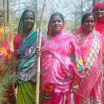 بھارتی ریاست اوڈیشا کی 75 خواتین کا گروہ گزشتہ برس سے 75 ہیکٹر پر مشتمل جنگل کی حفاظت کر رہا ہے
